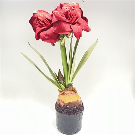 Faux Amaryllis Flowers with Bulb - 17.75" Tall