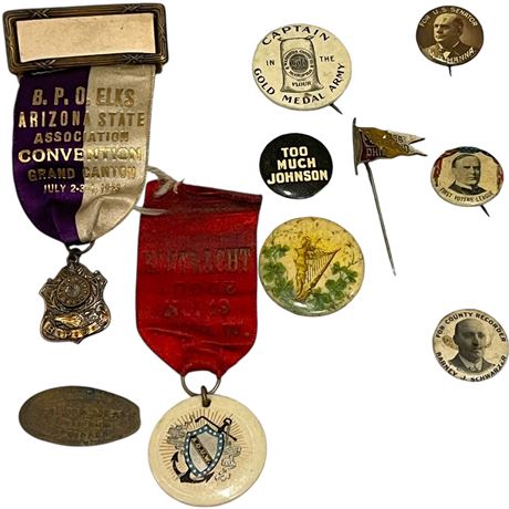 Antique / Vintage Political & Other Pins