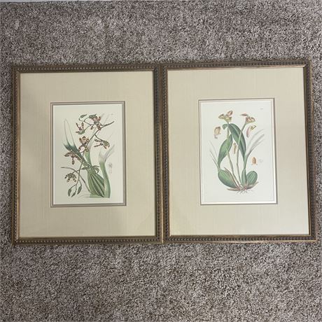Pair of Floral Art Prints