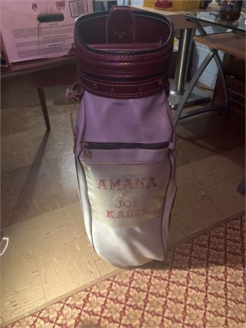 Leather Golf  Bag