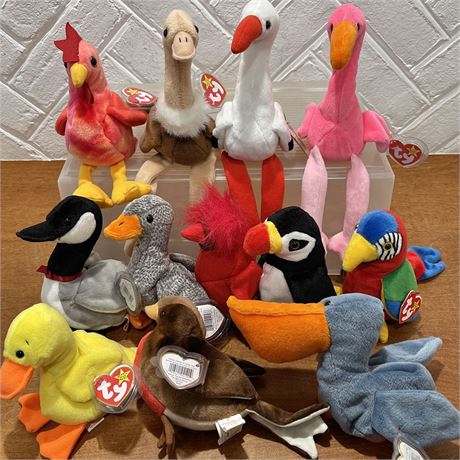 (12) TY Beanie Babies - Birds