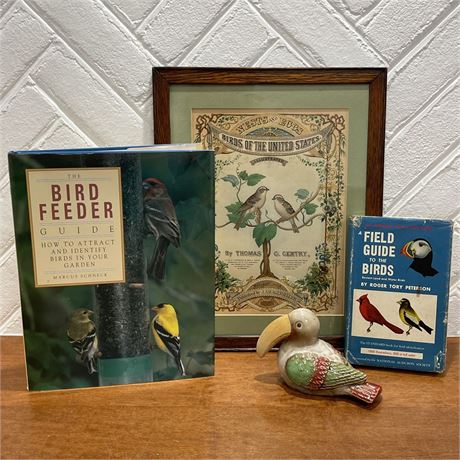 Vintage Collectible Bird Books and Print with Ceramic Toucan Bird