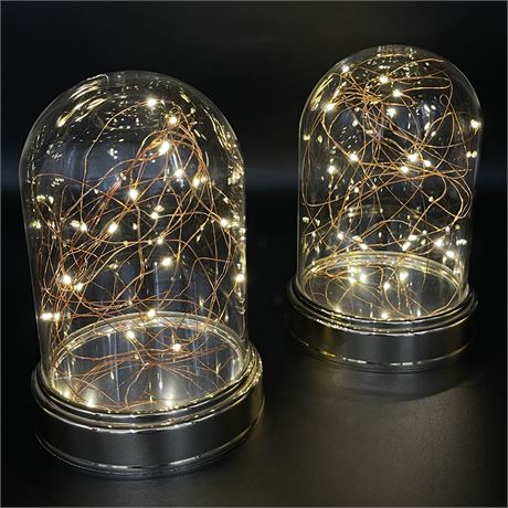 Pair of Battery Operated LED Fairy Lights Glass Domes