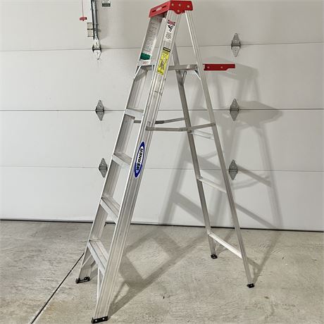 Werner 6FT Ladder