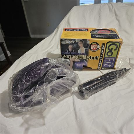 Go Fit Burst Resistant Core Stability Ball kit.