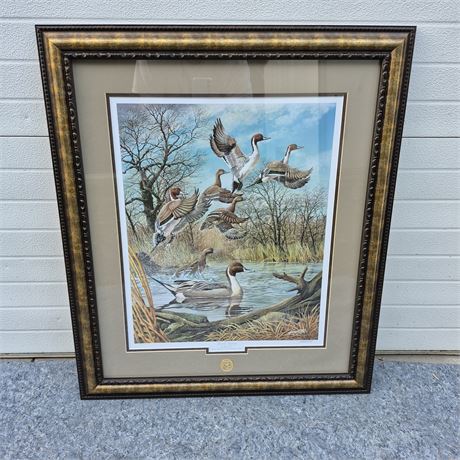 Ducks Unlimited Signed 75th Anniversary Print