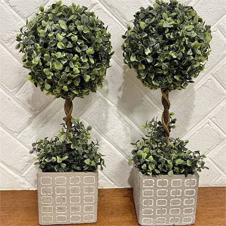 2 Artificial Boxwood Topiary Plant in Cement Planters