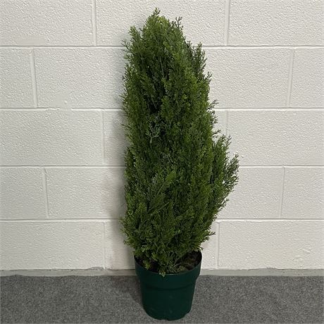 Potted Artificial Italian Cypress Accent Tree