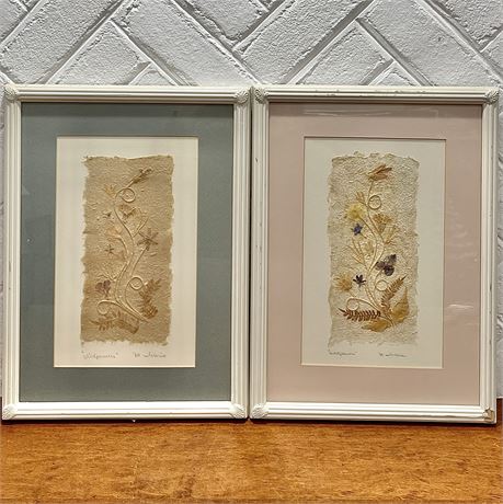 Pressed and Framed Dried Madagascar Plants and Wildflowers