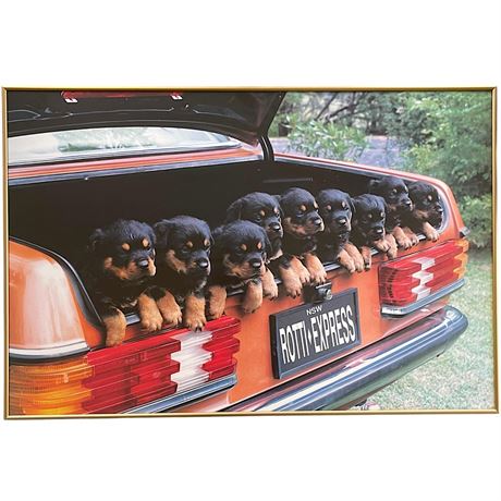 Framed Rottweiler Puppy Wall Hanging