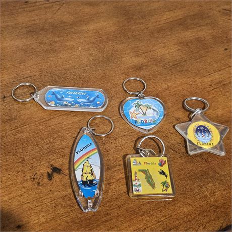 Collection of Florida Keychains