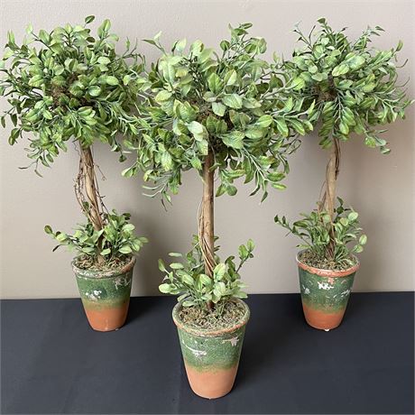 Group of 3 Table-Top Artificial Bombay Potted Topiary Trees