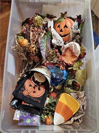 Wonderful Halloween/ Fall Holiday Decor ~Tote Included!