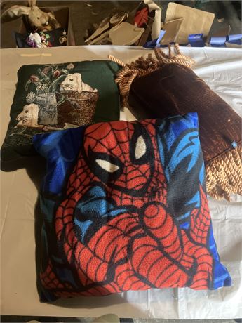 assorted throw pillows (3)