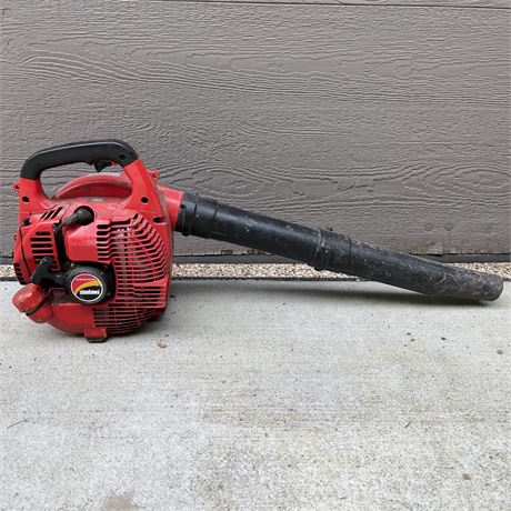 Blazing Auctions - Shindaiwa Professional Handheld Gas Leaf Blower