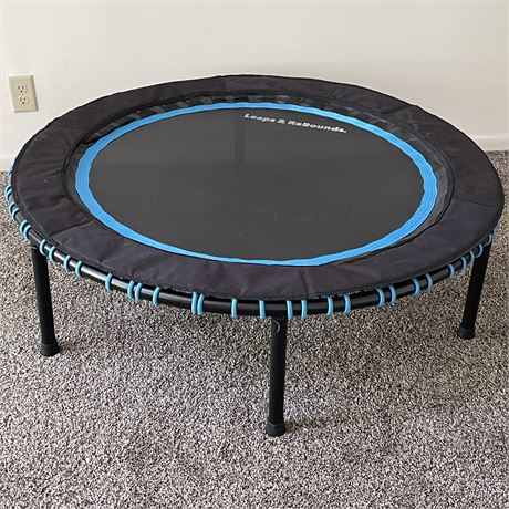 Leaps & Rebounds Mini Fitness Trampoline