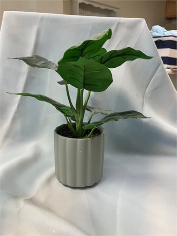 Artificial Plant in Greyish/Green Planter